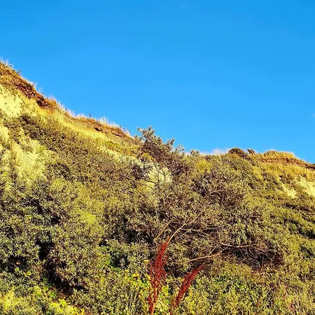 Feriehus 8 Person In Vestervig-by Traum