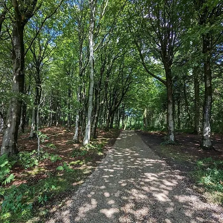 Feriehus 8 Person In Vestervig-by Traum