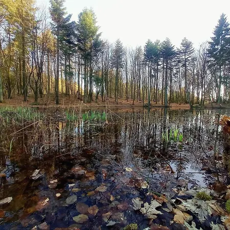 8 Person In Vestervig-by Traum Vestervig