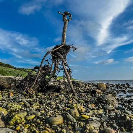 8 Person In Vestervig-by Traum Vestervig